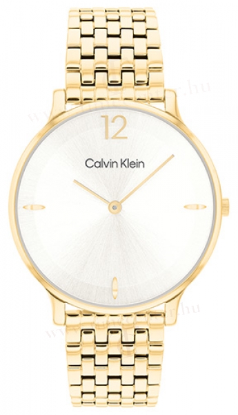 Calvin Klein CK25100172 karóra